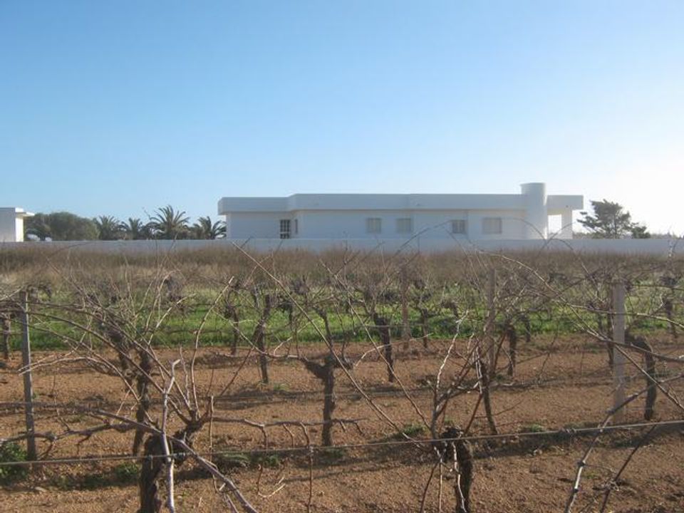 Villa i Petrosino, Trapani - foto 3